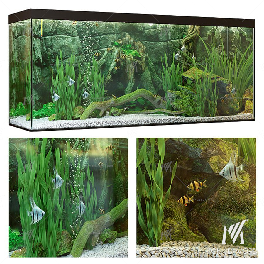 Aquarium